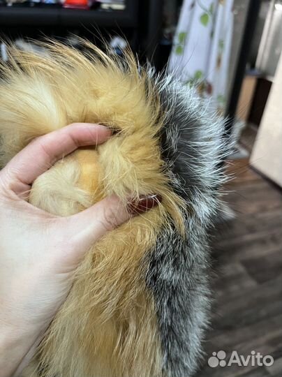 Меховой воротник лиса чернобурка