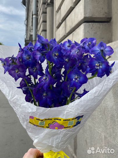 Монобукет из дельфиниумов