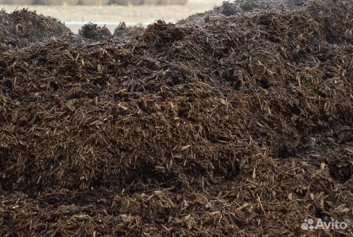 Конский навоз