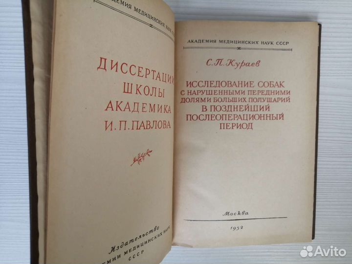 Исследование собак с нарушенными передними долями