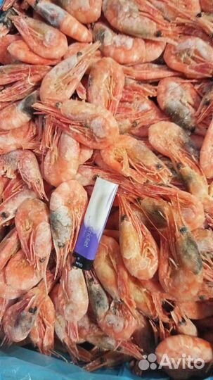 Креветка северная 90+, 120+