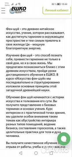 Фэн-шуй. Профессионал