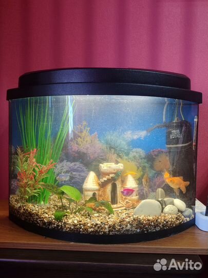 Аквариум с рыбками