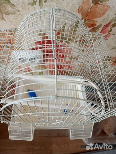 Клетка для волнистого попугая