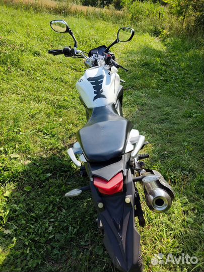 Stels flex 250 возможен обмен на авто