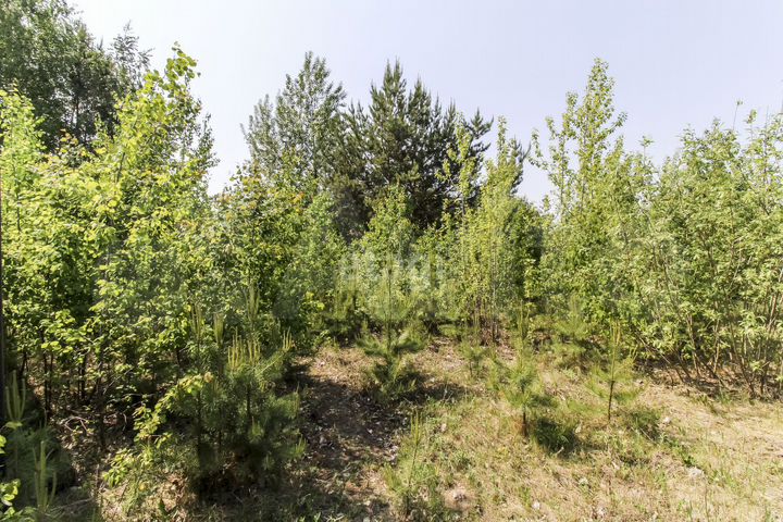 Участок 15 сот. (ИЖС)