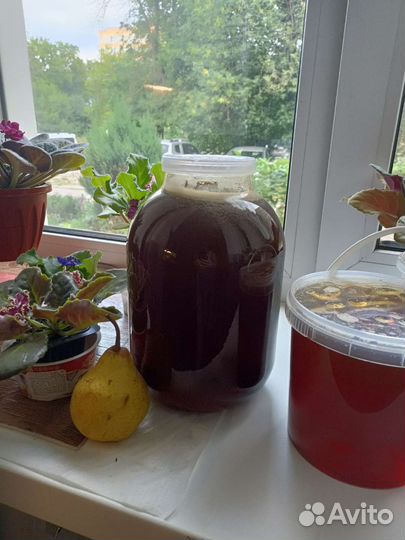 Натуральный мед 23 год качка