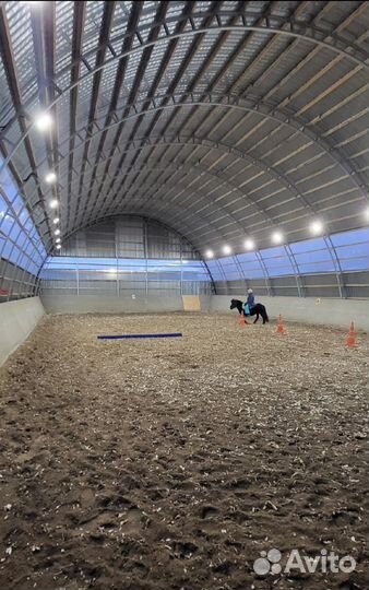 Конный клуб. Санкт-Петербург