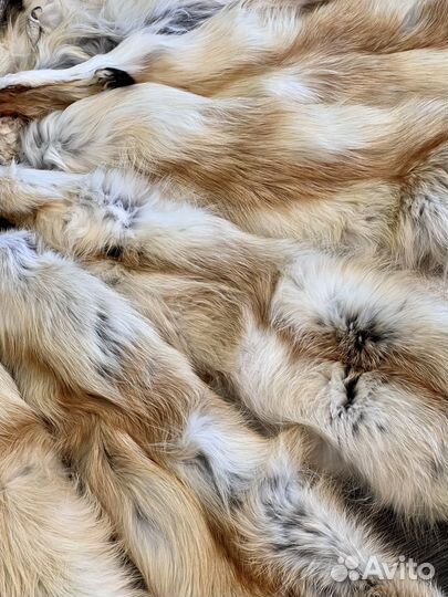 Шкуры лисы