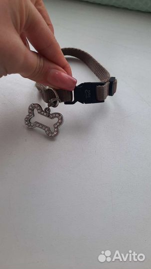 Ошейник для собак