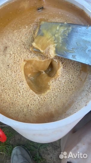 Мед домашний