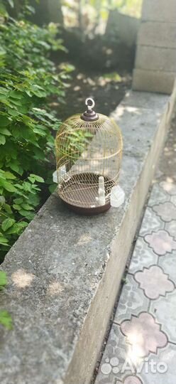 Клетка для попугая бу