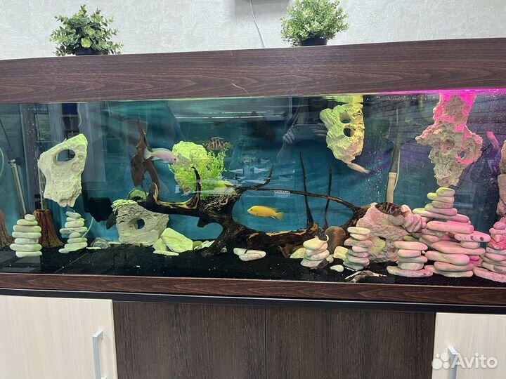 Аквариум с тумбой