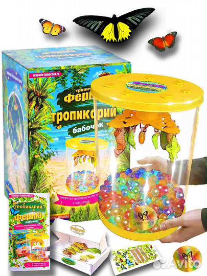 Ферма бабочек