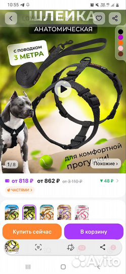 Шлейка с поводком