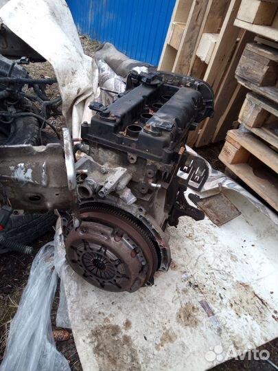 Двигатель форд фокус2 1.6 115лс hxdb