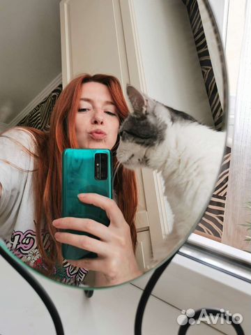 Стрижка и уход за животными