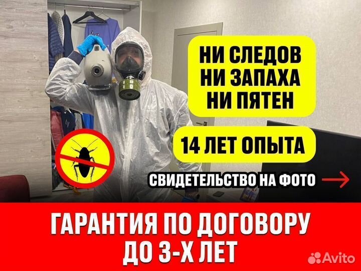 Уничтожение клопов и тараканов, дезинфекция