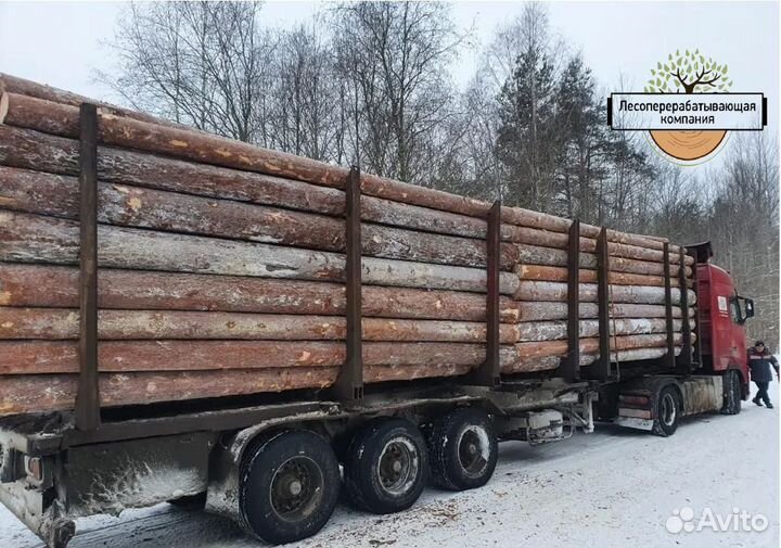 Круглый лес