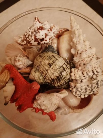 Ваза с ракушками