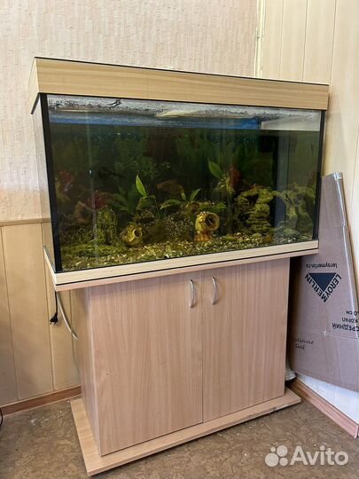 Аквариум с тумбой 200л