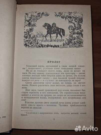Майн Рид, Всадник без головы