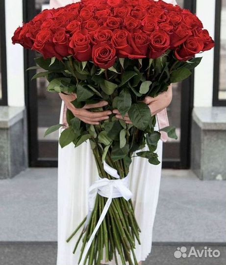 Розы гиганты 140 150 160 170 180 200