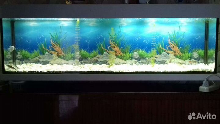 Аквариум