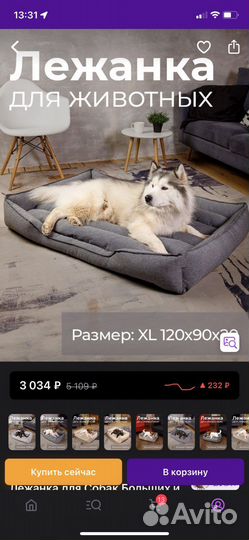 Лежанка для собак