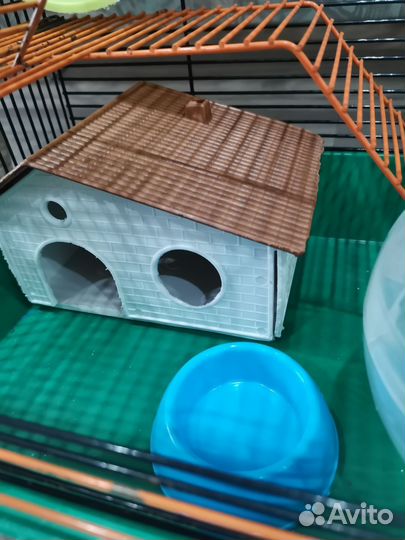 Клетка для хомяка