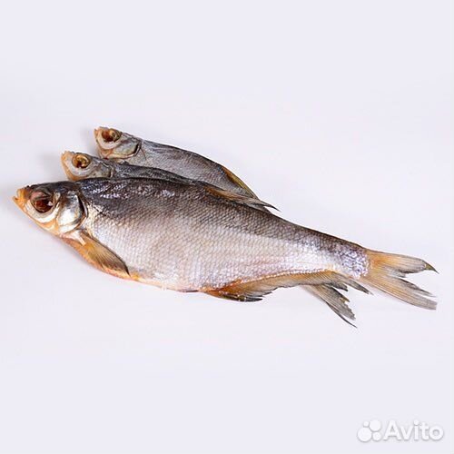 Сопа вяленая. Жирная