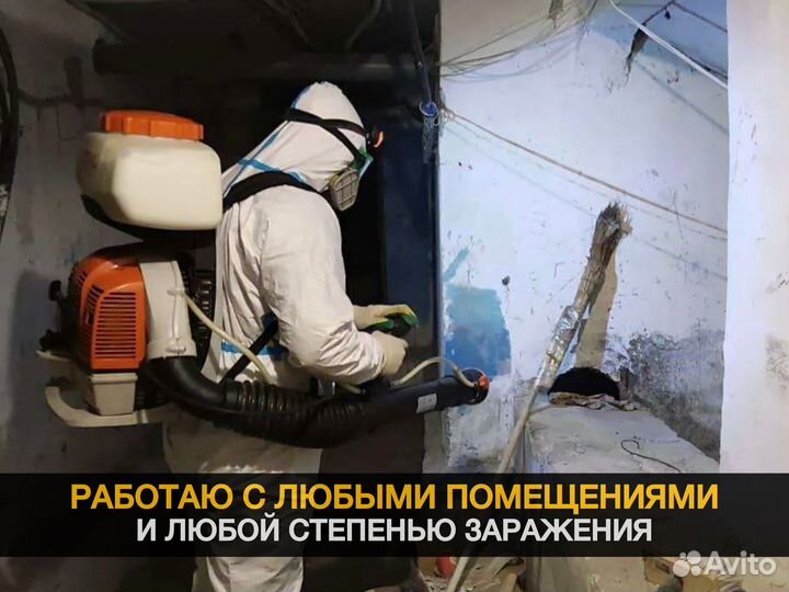 Дезинфекция. Уничтожение тараканов, клопов, крыс