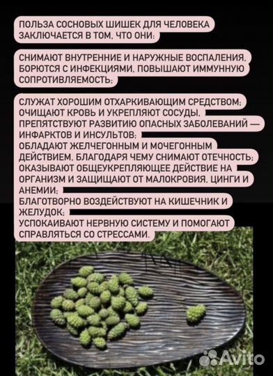 Варенье из сосновых шишек