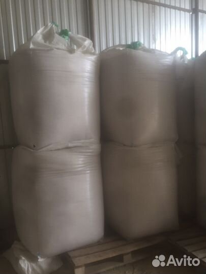 Ракушка морская кормовая