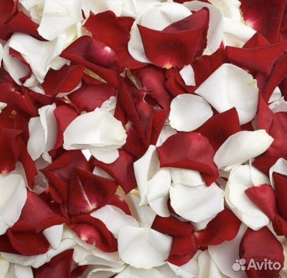 Лепестки роз