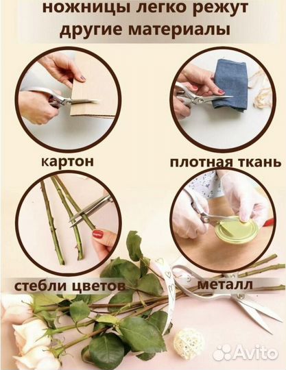 Кухонные ножницы