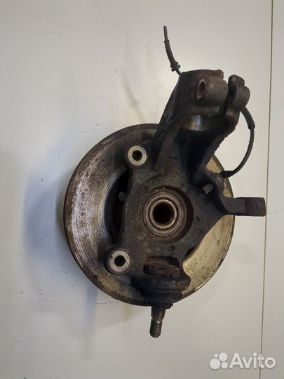 Ступица (кулак, цапфа) Ford Transit, 2009