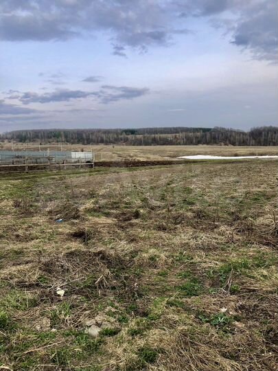 Участок 21 сот. (ИЖС)