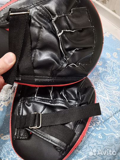 Новые боксёрские лапы