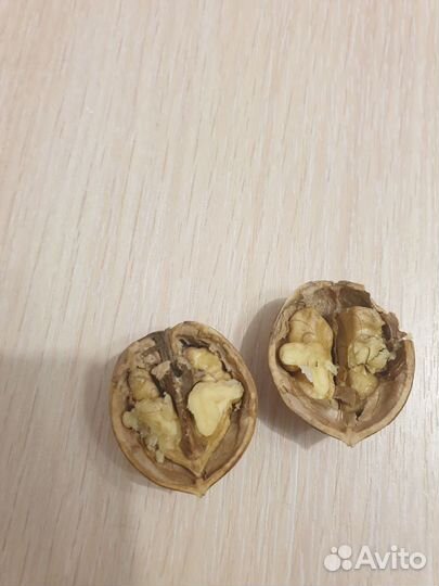 Грецкий орех в скорлупе