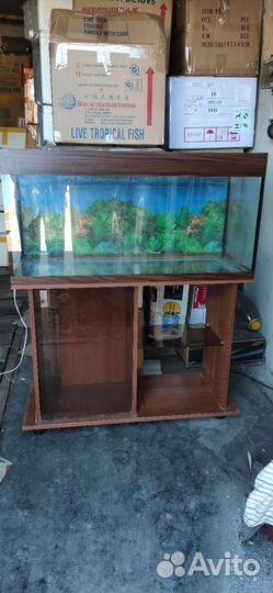 Аквариум