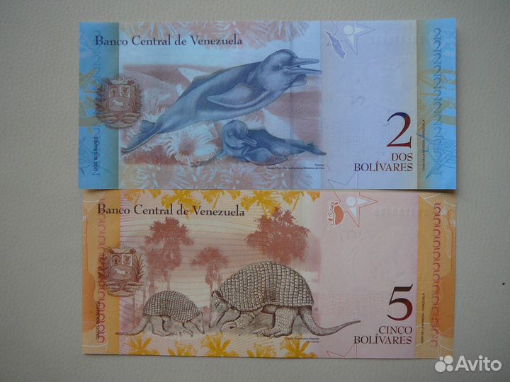 25 банкнот. Пресс. UNC. Лот №1