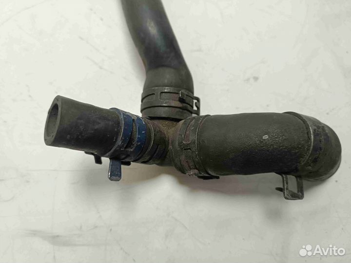 Патрубок (трубопровод, шланг)