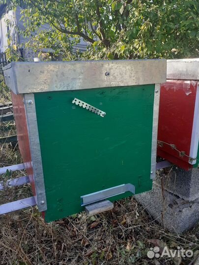 Ульи для пчел