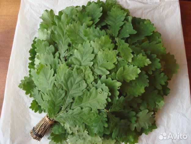 Веники для бани-дуб