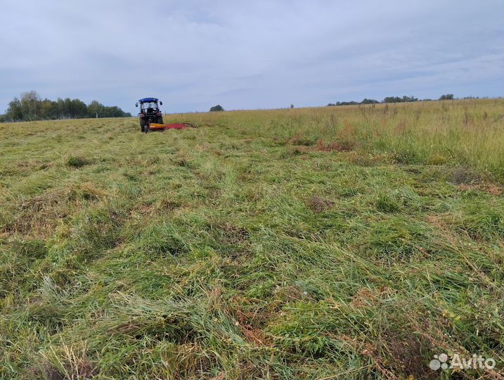 Продам сено в рулонах