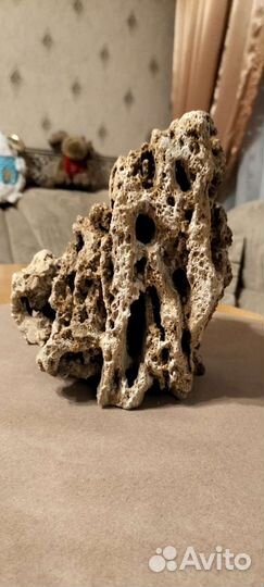 Декор камень песчанник Коряга, Коралл