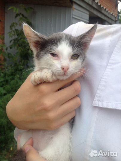 Потрясающая девчуля в дар