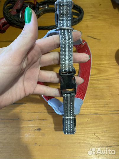 Шлейка для собаки