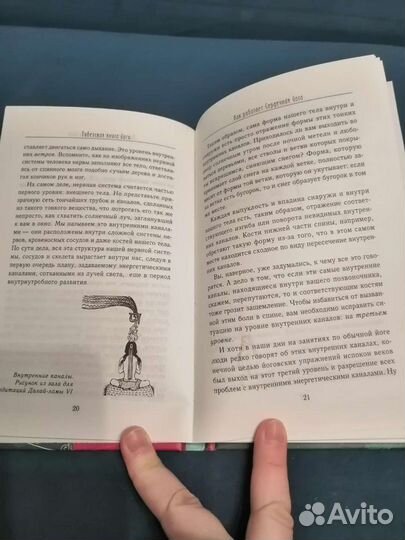 Тибетская книга йоги Майкл Роуч